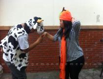 handshake photo contest